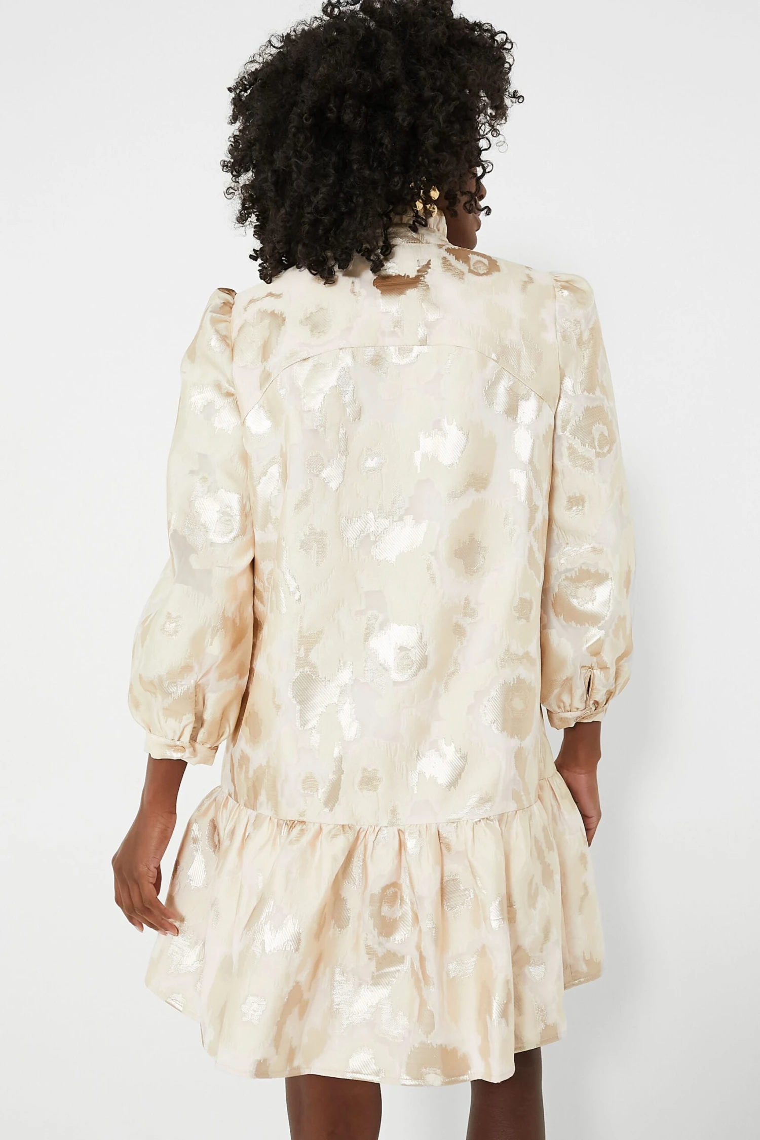 Champagne Fil Coupe Palmerston Dress - Image 4