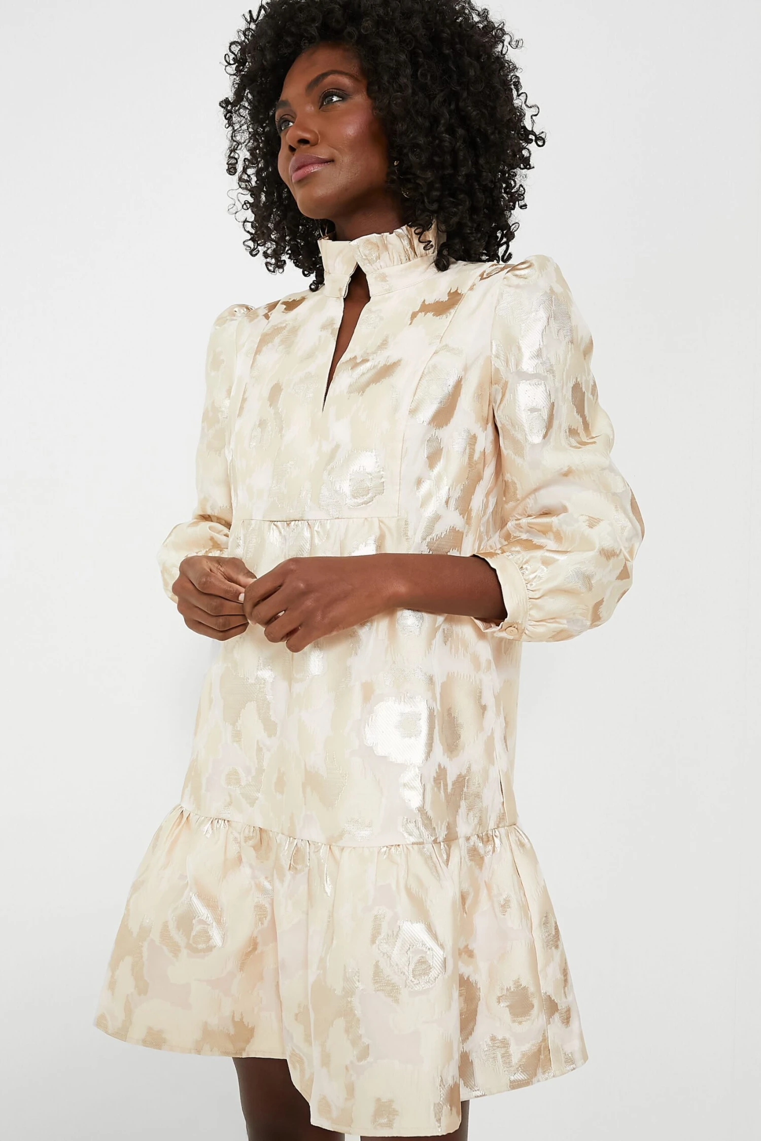 Champagne Fil Coupe Palmerston Dress - Image 2